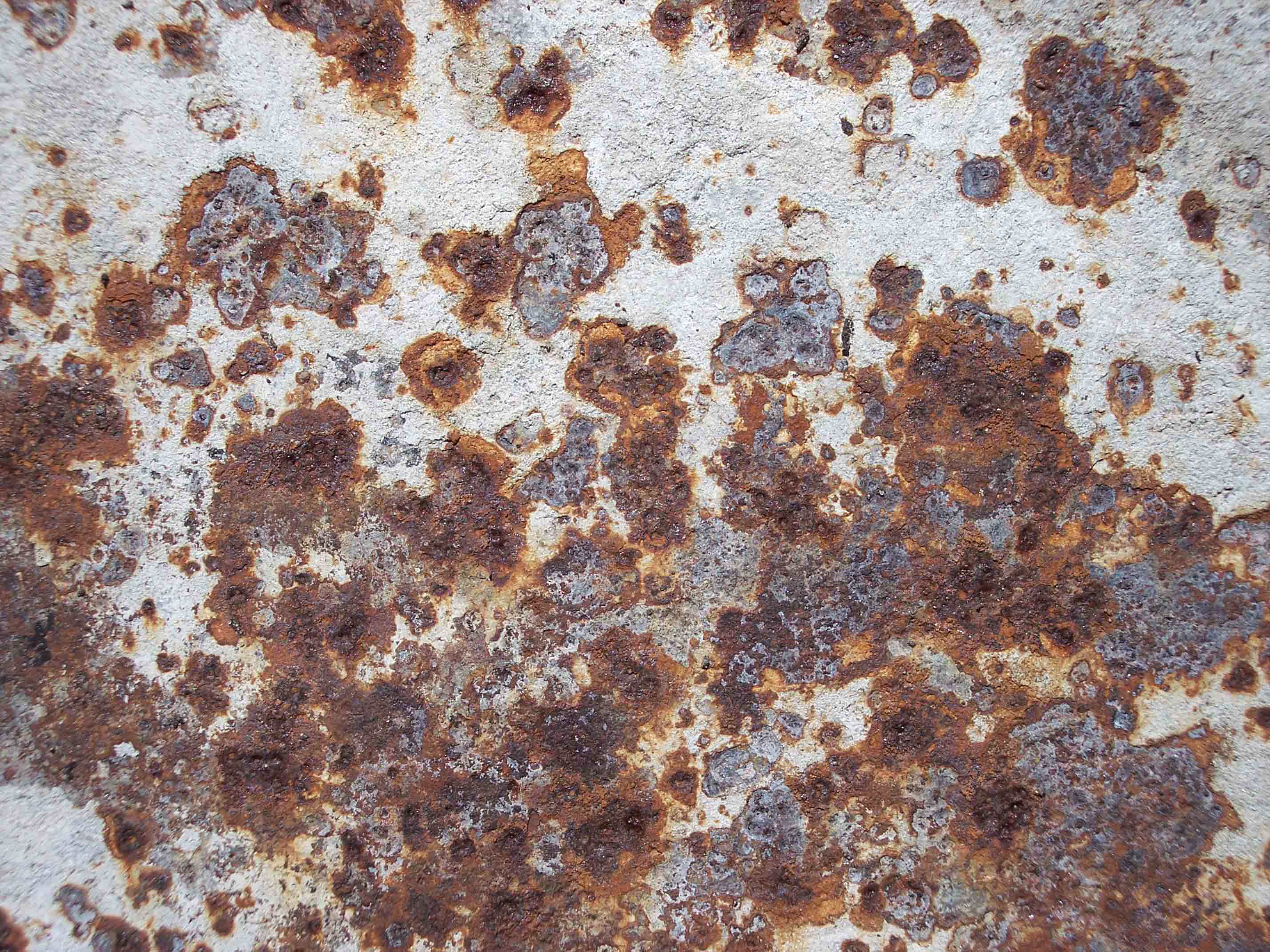 Mold Testing Lancaster