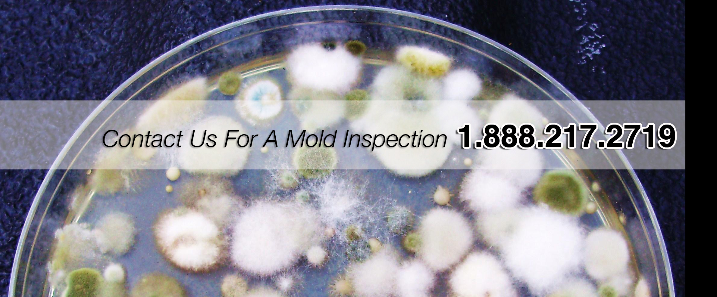 Mold Testing Huntington Beach