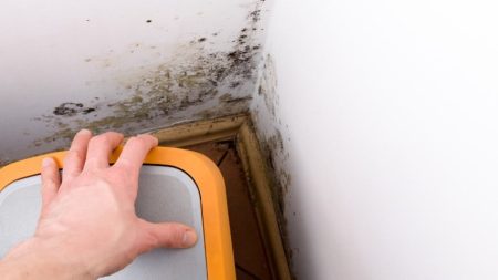 Mold Clearance Testing West Hollywood, Mold Clearance Testing Beverly Hills, Mold Clearance Testing Culver City, Mold Clearance Testing South Pasadena,